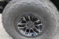 Jeep Wrangler  MOAB 392 (Winde) MY26