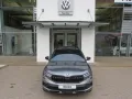 Skoda Kamiq Monte Carlo 1.5TSI DSG AHK Kamera Navi LED