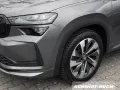 Skoda Kodiaq 2.0 TDI DSG 4x4 Sportline HUD AHK Allrad