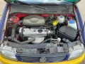 Volkswagen Liebhaberstück VW Polo Harlekin