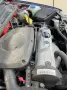 Volkswagen Liebhaberstück VW Polo Harlekin