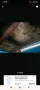 Other Buick, Le sabre, Restaurationsobjekt, Chev...