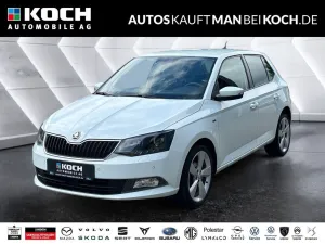 Skoda Fabia 1.0 MPI Clever 5-Gang PDC SHZ EFH GREENTEC