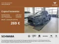 Cupra Formentor 1.5 TSI DSG ACC*NAV*18