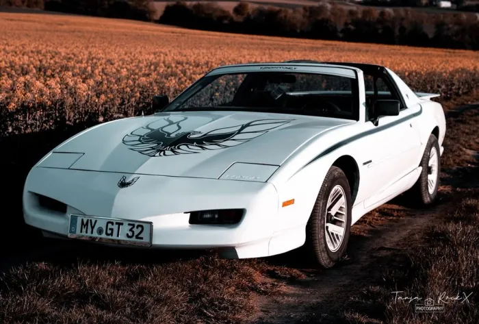 Other Pontiac Firebird 3.1 V6 1992