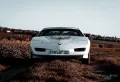 Other Pontiac Firebird 3.1 V6 1992
