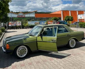 Mercedes-Benz Mercedes W123 230E - Grün - Grün - Automatik