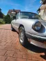 Alfa Romeo Spider von 1986