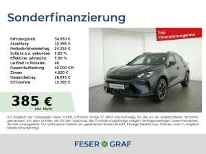 Cupra Formentor 1.5eTSI DSG LED AHK Sitzheizung Navi