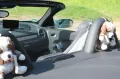 Mercedes-Benz SLK 200 Kompressor -