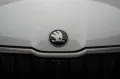 Skoda Kodiaq 2.0 TDI 4x4 DSG Selection Kamera/Memory/N