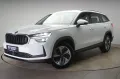 Skoda Kodiaq 2.0 TDI 4x4 DSG Selection Kamera/Memory/N
