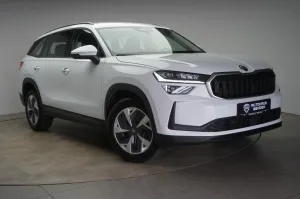Skoda Kodiaq 2.0 TDI 4x4 DSG Selection Kamera/Memory/N