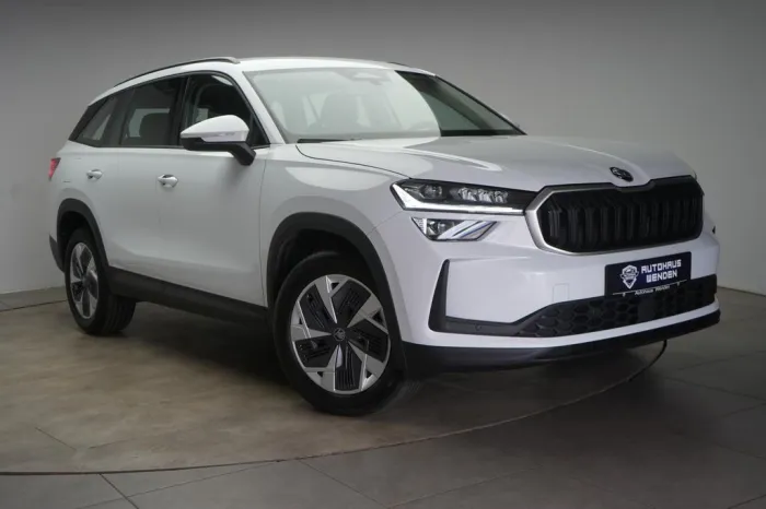 Skoda Kodiaq 2.0 TDI 4x4 DSG Selection Kamera/Memory/N