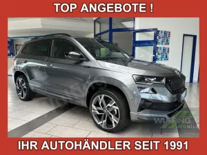 Skoda Karoq 1.5 TSI DSG Sportline,AHK,Canton,AreaView