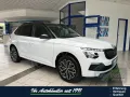 Skoda Kamiq 1.0 TSI-DSG Selection Black,RFK,PDC,Kessy
