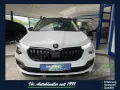 Skoda Kamiq 1.0 TSI-DSG Selection Black,RFK,PDC,Kessy