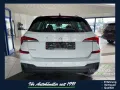 Skoda Kamiq 1.0 TSI-DSG Selection Black,RFK,PDC,Kessy