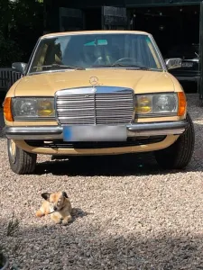 Mercedes-Benz Mercedes Benz W123 300d  Oldtimer