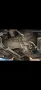 Mercedes-Benz Mercedes Benz W123 300d  Oldtimer