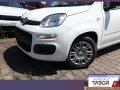 Fiat Panda ICON 5S PDC 5