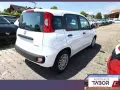 Fiat Panda ICON 5S PDC 5