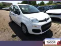 Fiat Panda ICON 5S PDC 5