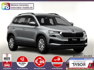 Skoda Karoq DSG Selec AHK Kessy Kam SHZ SunS UVP-29%*
