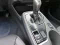 Subaru Crosstrek 2.0ie Platinum Navi Leder 360 Kamera L
