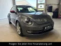 Volkswagen Beetle Club BMT Kamera PDC NAVI SHZ