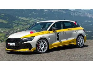 Audi RS3 Heritage Edition ''2 of 3'' (460 PS) SB qu A