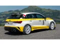 Audi RS3 Heritage Edition ''2 of 3'' (460 PS) SB qu A