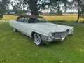 Cadillac Convertible
