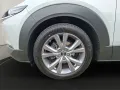 Mazda CX-30 SKY-G EXCLUSIVE+LEDER+DESIGN-P+DRAS-P