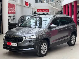 Skoda Karoq Selection