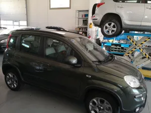 Fiat Panda 1.3 MJT 16V DPF 4x4 Climbing