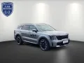 Kia Sorento 2.2 CRDi DCT AWD Platinum Vollausstattun
