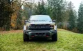 Other FORD F 150 RAPTOR 
