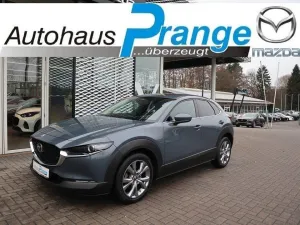 Mazda CX-30 M-Hybrid G-140 Exclusive-Line *Winter-Akti