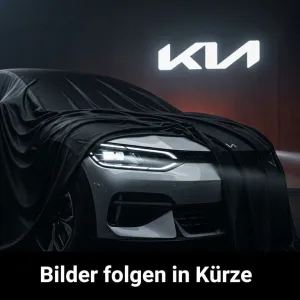 Volkswagen Golf VIII GTI DSG*Panorama*Carplay*