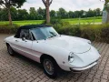 Alfa Romeo Spider 1750 Duetto - Technik neu- H-Kz.