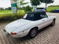 Alfa Romeo Spider 1750 Duetto - Technik neu- H-Kz.