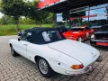 Alfa Romeo Spider 1750 Duetto - Technik neu- H-Kz.