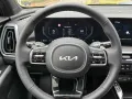 Kia Sorento 1.6 T-GDI HEV Platinum, GD, AHK