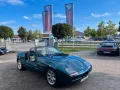 BMW Z1 Roadster  **urgrünmetallic**