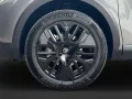 Citroën C4 Collection beheizbare Windschutzscheibe