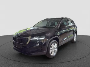 Skoda Karoq 1.5 TSI DSG Selection AHK / Lenkrad heizba
