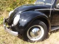 Volkswagen Käfer-in seltener & attraktiver Farbkombination!