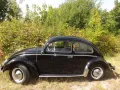 Volkswagen Käfer-in seltener & attraktiver Farbkombination!