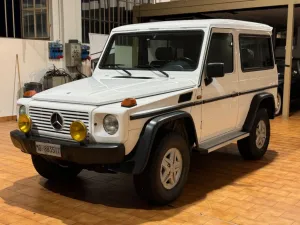 Mercedes-Benz Mercedes-benz G 300 GE cat corto